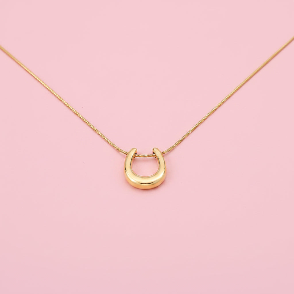 Collar con Dije de Herradura
